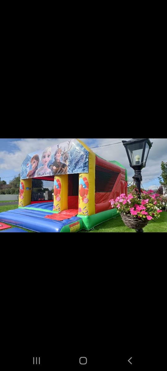 Bouncy Castle & Slide Combo Units photo 3