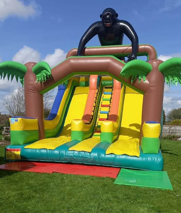 CONGO The Gorilla High Slide photo 1