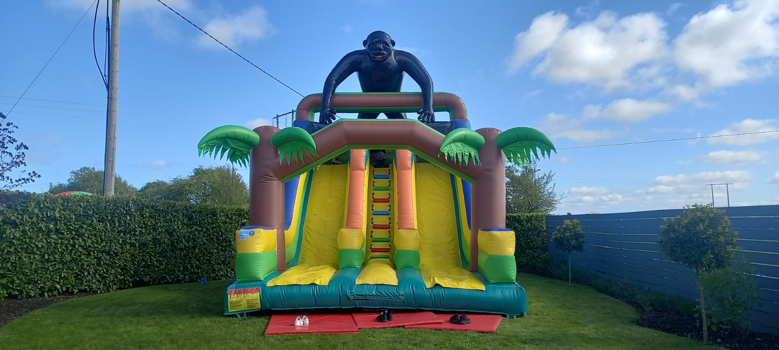 CONGO The Gorilla High Slide photo 2
