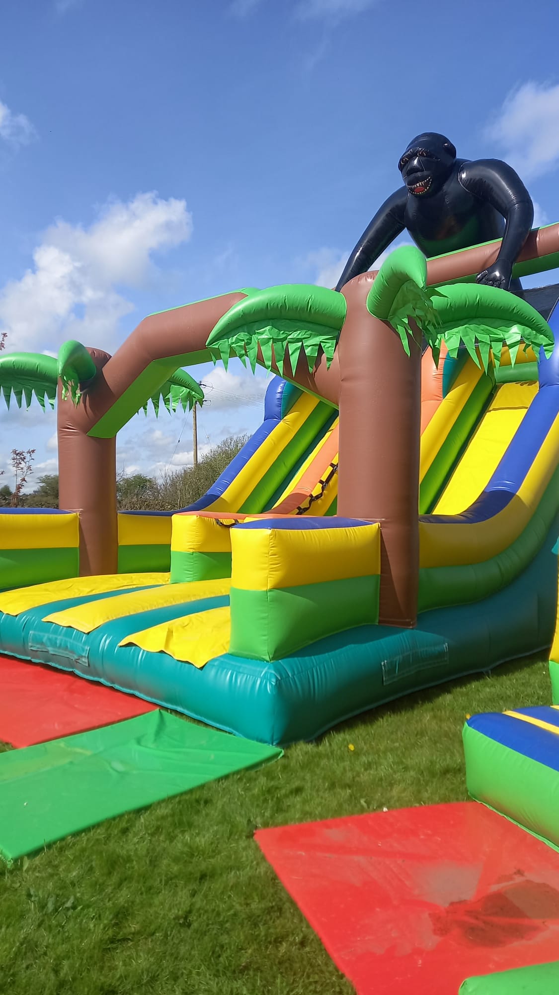 CONGO The Gorilla High Slide photo 3