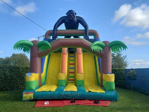CONGO The Gorilla High Slide
