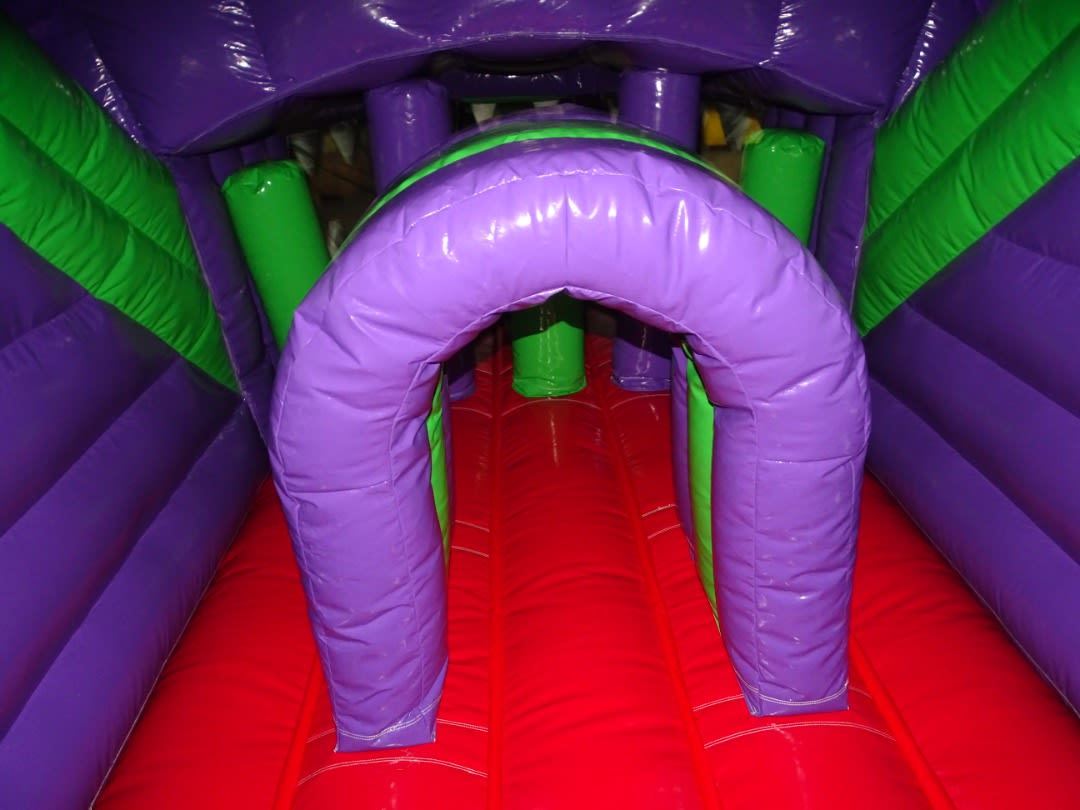 Lizzy the Lizard High Slide Obstacle Course photo 2
