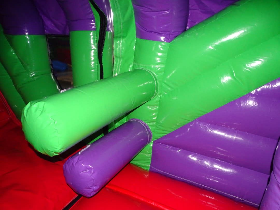 Lizzy the Lizard High Slide Obstacle Course photo 5