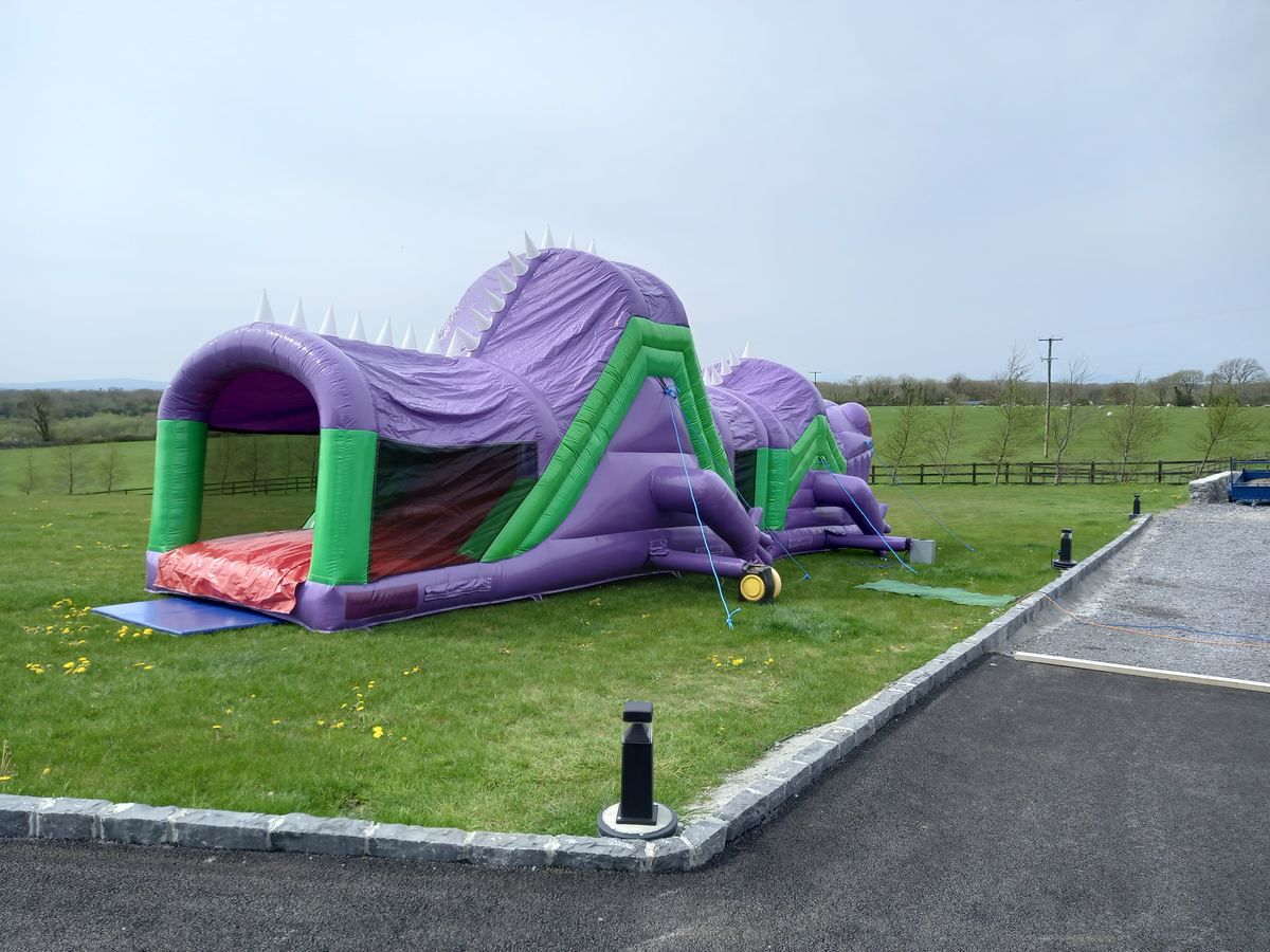 Lizzy the Lizard High Slide Obstacle Course photo 6