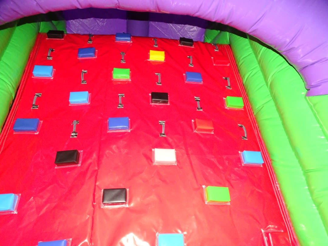 Lizzy the Lizard High Slide Obstacle Course photo 7