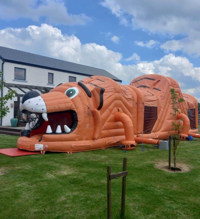 Rockey the Tiger High Slide Obstacle Course photo 2